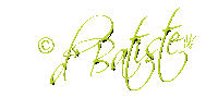 blog copyright sig1 copy