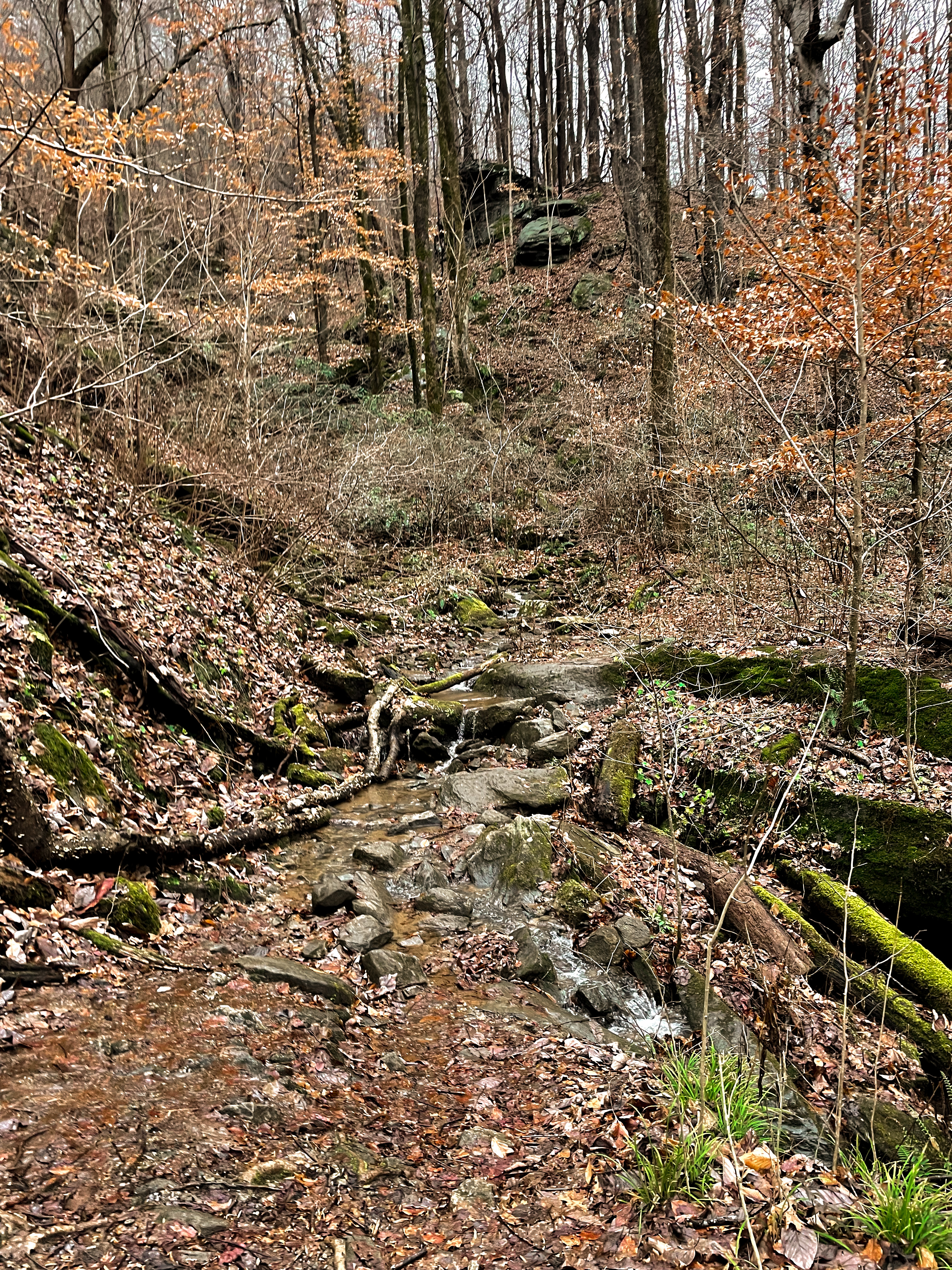 Melrose Falls Trail