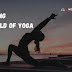 Exploring the World of Yoga: Types and Practices for a Balanced Life