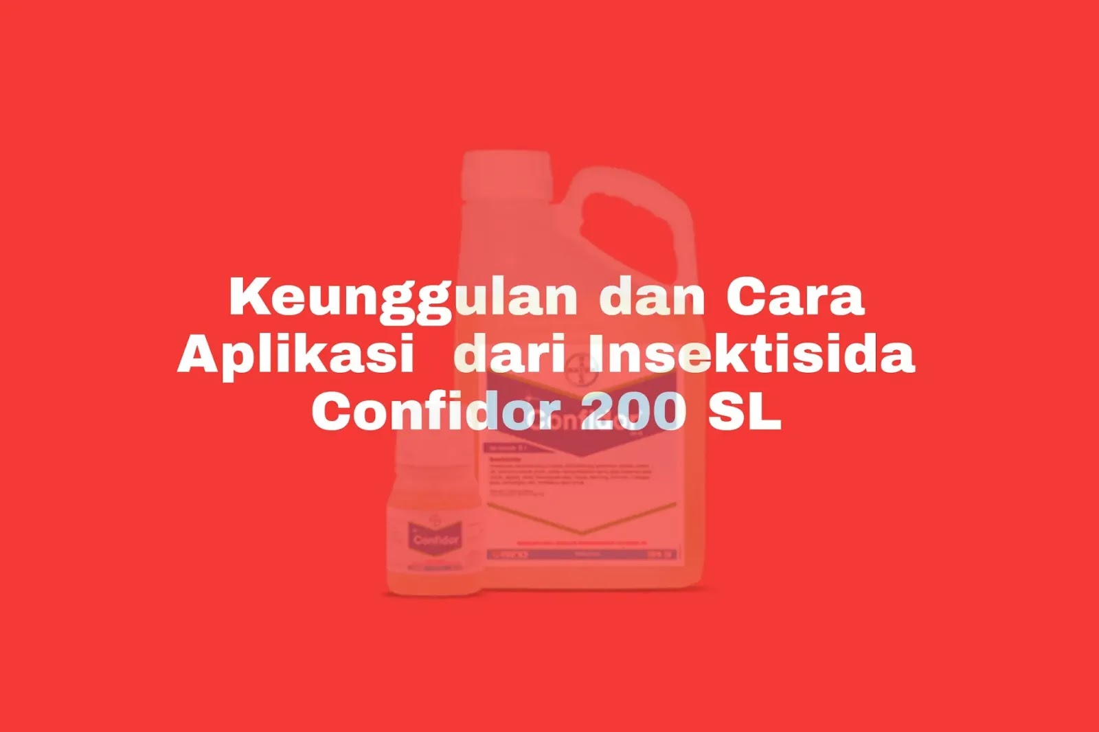 Keunggulan dan Cara Aplikasi  dari Insektisida Confidor 200 SL