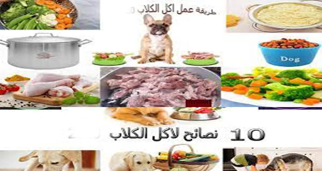 اكل الكلاب من طعام البيت: نصائح لتغذية الكلاب