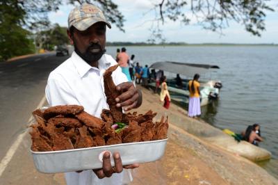 roadside vendor sells fried fish in Hambanthota