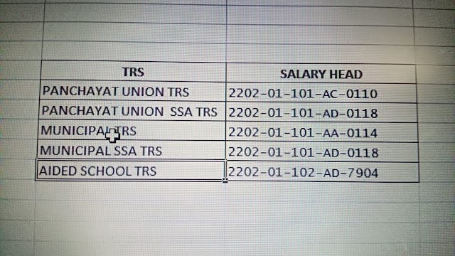 EMIS - Teacher's profile part 2 - Pay drawing 