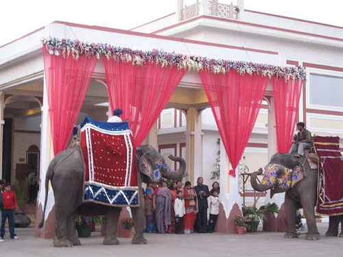 Horses and Elephants are common sights in an Indian wedding