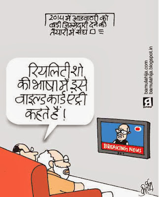 lal krishna advani cartoon, bjp cartoon, narendra modi cartoon, election 2014 cartoons, cartoons on politics, indian political cartoon, reality show