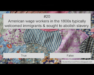 American wage workers in the 1800s typically welcomed immigrants & sought to abolish slavery. Answer choices include: true, false