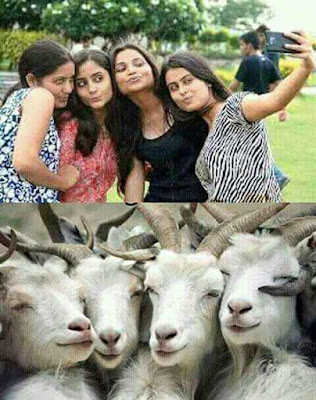top funny famous selfies viral on whatsapp and facebook