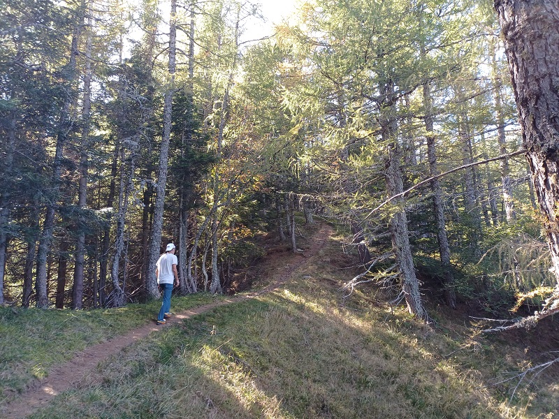 Salendo verso Monte Ciste da Forcella Lavoschio, 1750 m slm