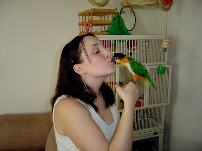 Caique parrot Nani kissing her owner