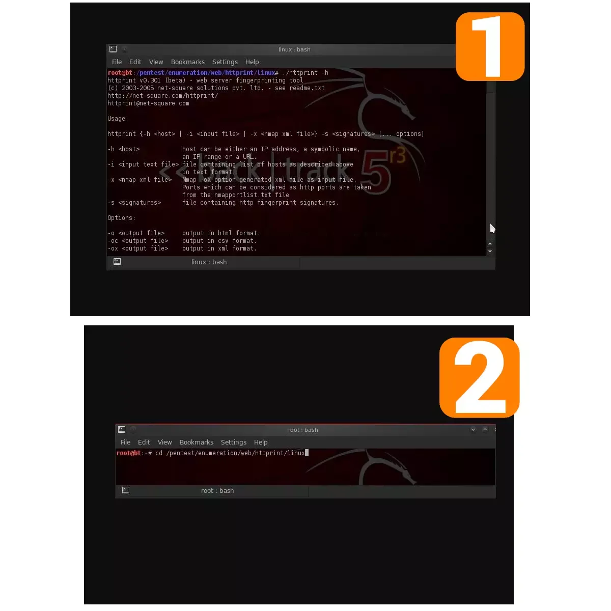 tes httprint