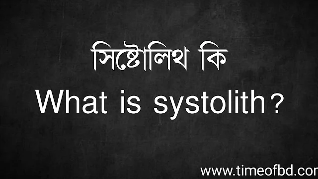 সিষ্টোলিথ কি | What is systolith?