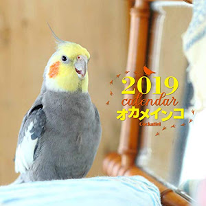 2019年大判カレンダー オカメインコ