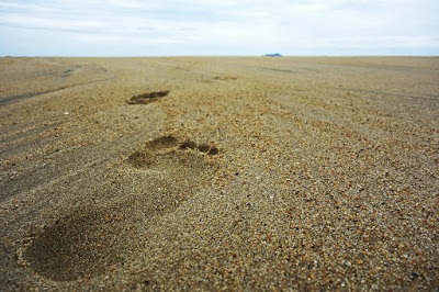 teukabaca.blogspot.com