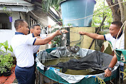 Yonmarhanlan 1 Panen Ikan Lele di Kolam Ketahanan Pangan