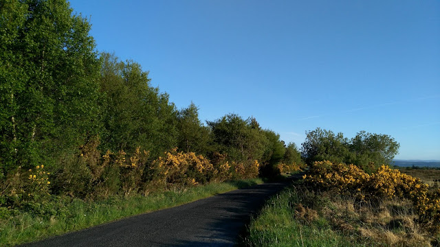 Follow the Connemara road