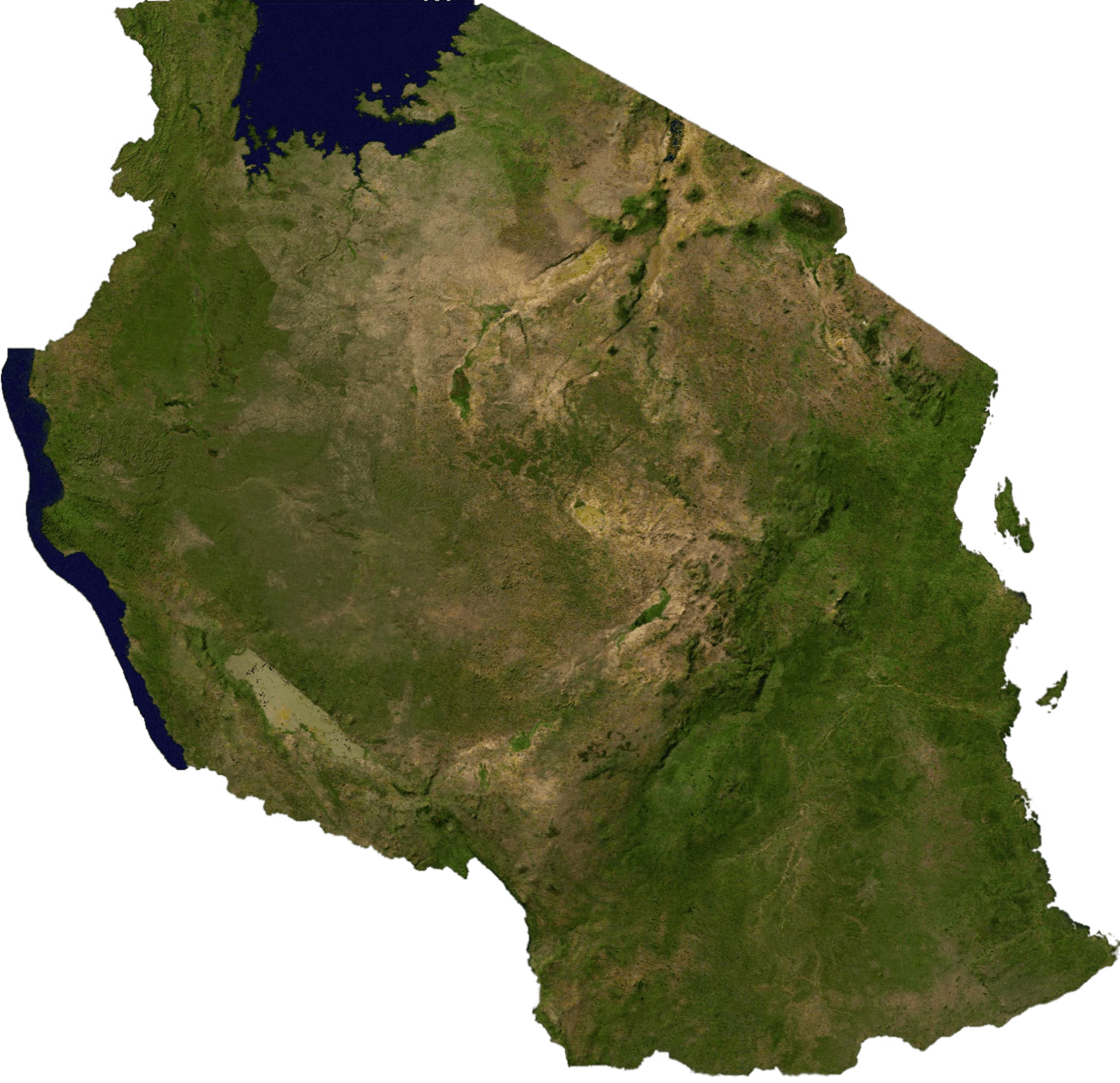 Tanzania Relief Map