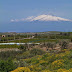 Sicilian spring