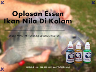 Essen Ikan Nila Khusus Di Kolam