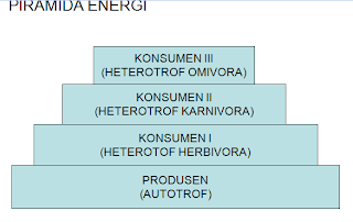 ekosistem 6