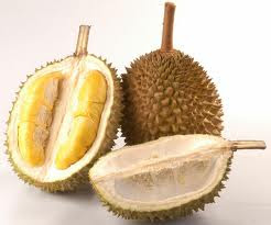 Khasiat Buah Durian