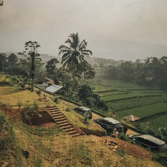 Kopi Salacca Bogor Jawa Barat