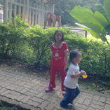 View album