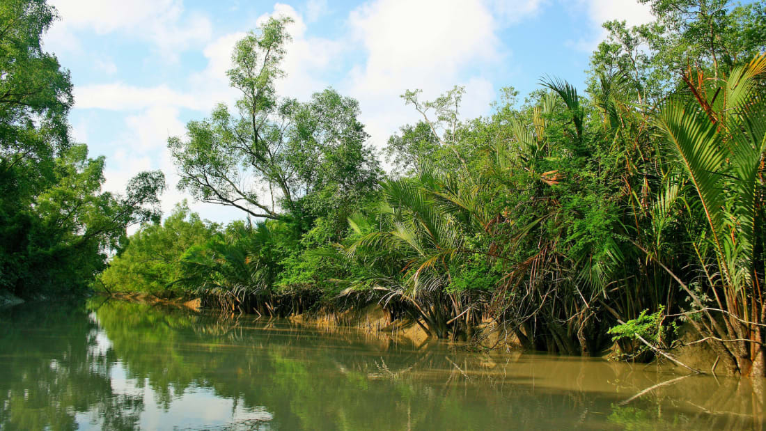 Sundarbans, West Bengal