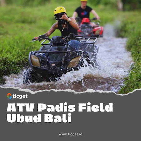 bali-atv-quad-bike-explore-cocoa-farm-river-and-rice-field-ubud-single-ride-ticket
