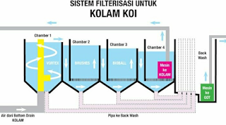 FILTER KOLAM KOI YANG SANGAT IDEAL