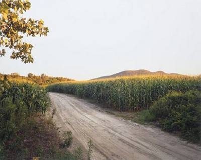 Joel Sternfeld