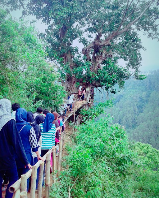 Pengunjung antri menuju Rumah Pohon Desa Tombo