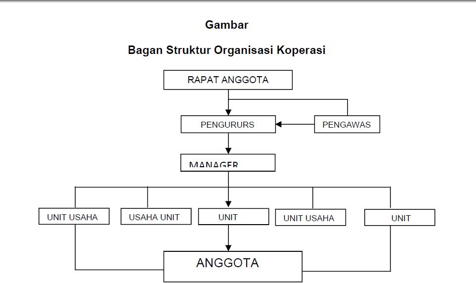 Gambar Bagan Struktur Organisasi Koperasi