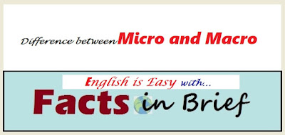 Difference Between Micro and Macro-Facs in Brief