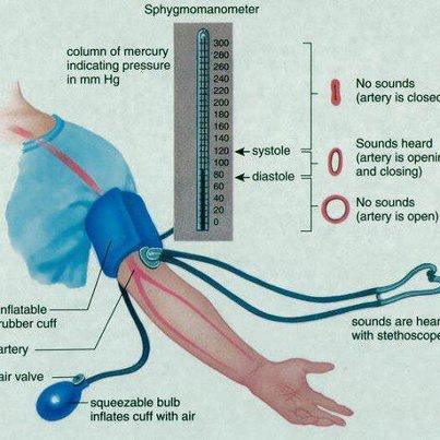 Lifestyle plays an important role in treating your high blood pressure ...