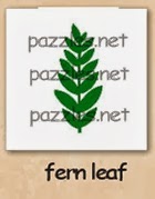 fern leaf-200