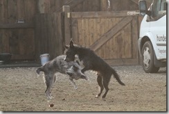 IMG_1842