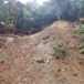 View album