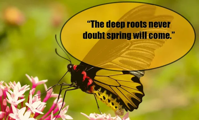 Spring quotes to welcome upcoming Spring