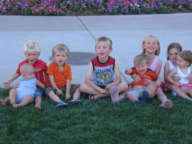 Trying to get them to do another photo shoot, I think they were done!