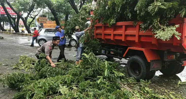 Pohon Tumbang di Kompleks Pasar Sentral, Kapolsek Imbau Warga Waspada!