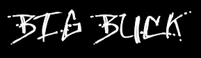 BIG BUCK "Crapy Punk Rock"