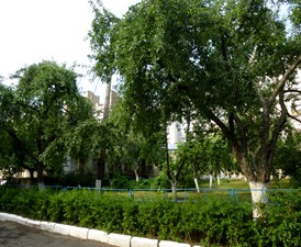P1080864