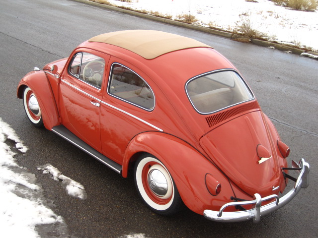 Labels beetle classic VW