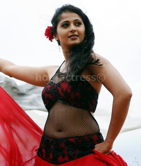 Actress Anushka Hot Navel Show Photos