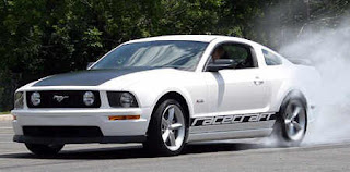 Racecraft 420S Mustang Photo