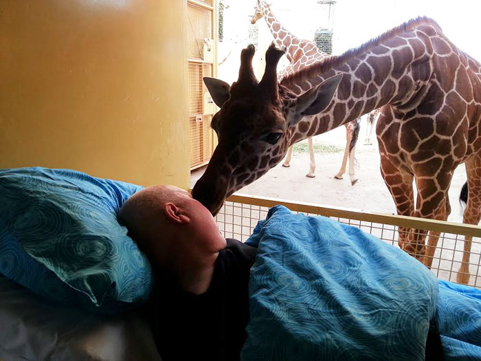 36 People's Heart-Breaking Last Wishes - Cancer Patient Mario, 54, Says Goodbye To The Giraffes At Rotterdam Zoo, Whose Enclosure He Used To Clean