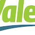 شركة Valeo Tanger تعلن عن حملة توظيف عدة مهندسين و تقنيين في عدة تخصصات