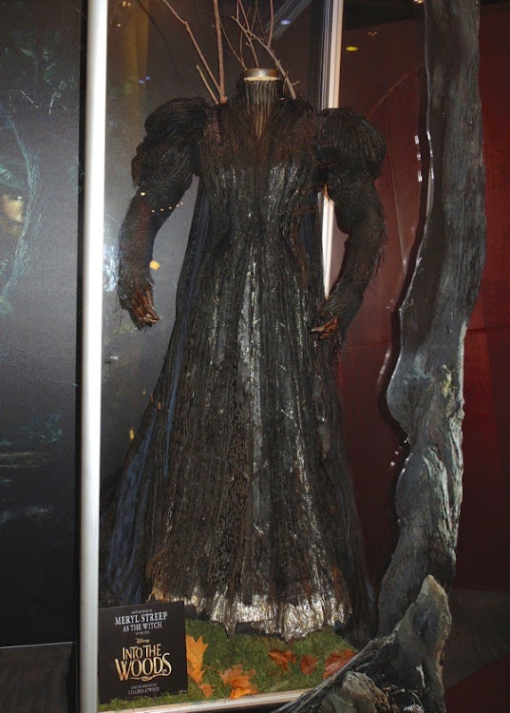 Meryl Streep Witch costume Into the Woods