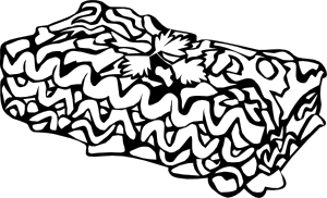 Colorable black and white lasagna pasta clipart