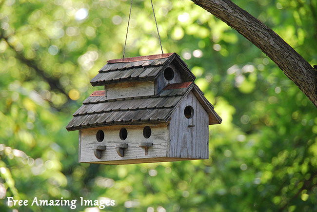 bird house kit handmade wooden bird houses french country bird house 